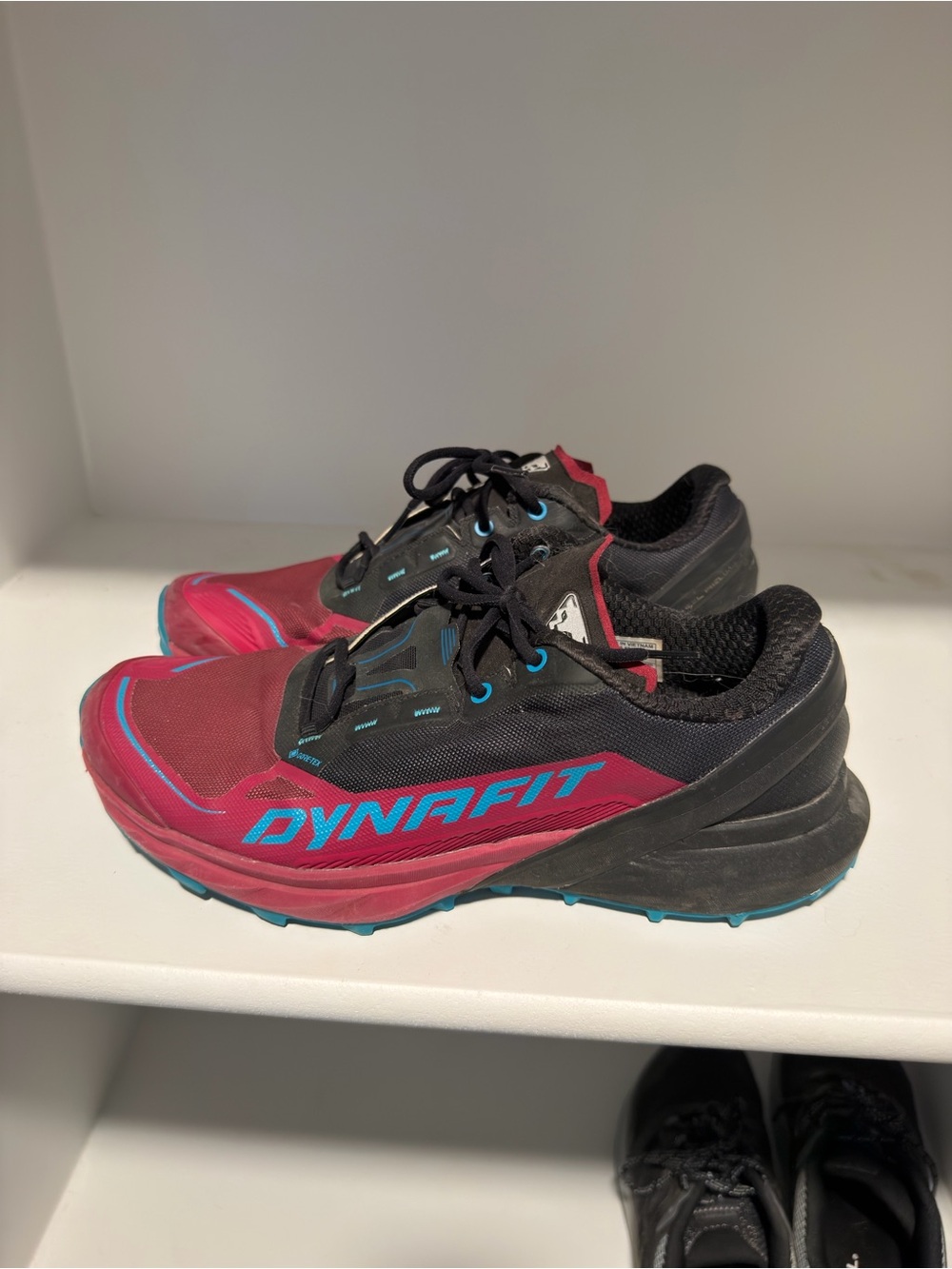 Women’s Dynafit Trail Running Shoes in Magenta and Black